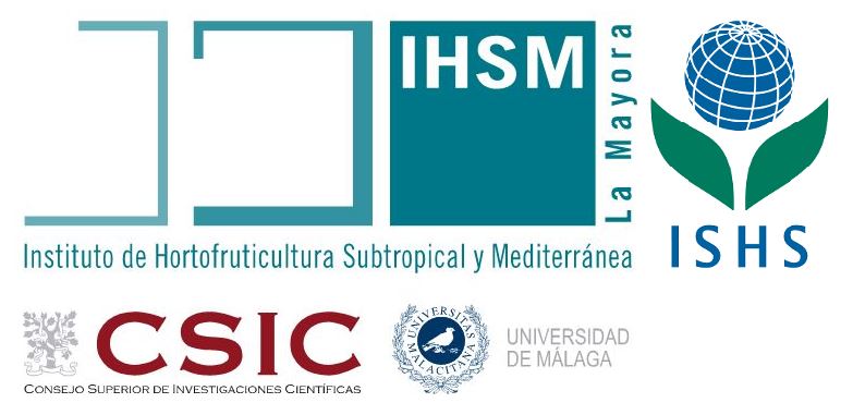 ORGANIZACION INSTITUTIONAL