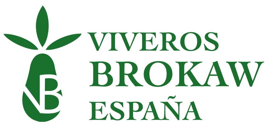 PATROCINADORES